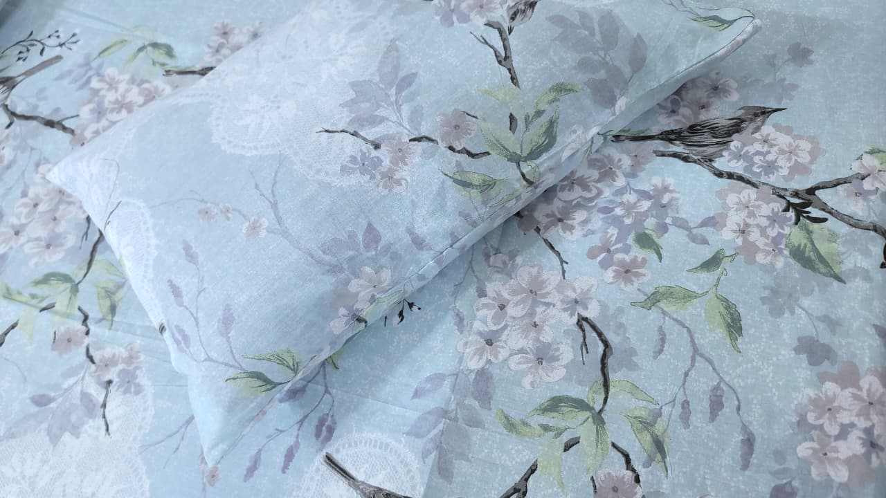 Cozify Pure Cotton Bed Sheet - King - CPB075