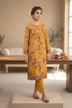 Signature Dhanak 2-Piece Printed Dress
