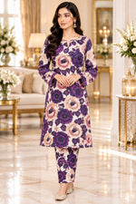 Premium 2-Piece Khaddar Ladies Suit 012