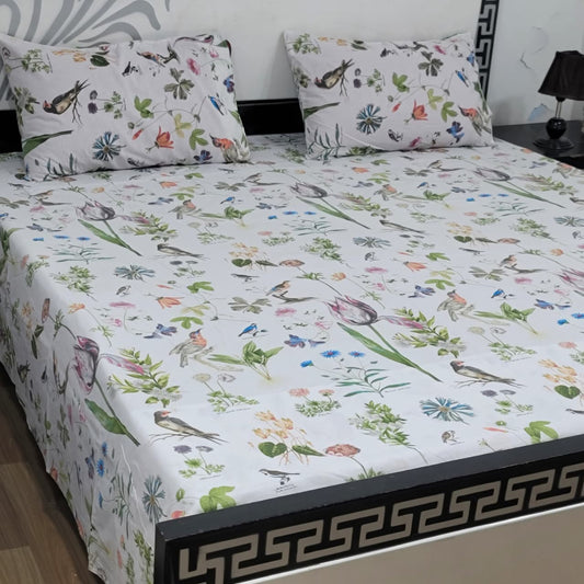 Cozify Pure Cotton Bed Sheet - King - CPB 06